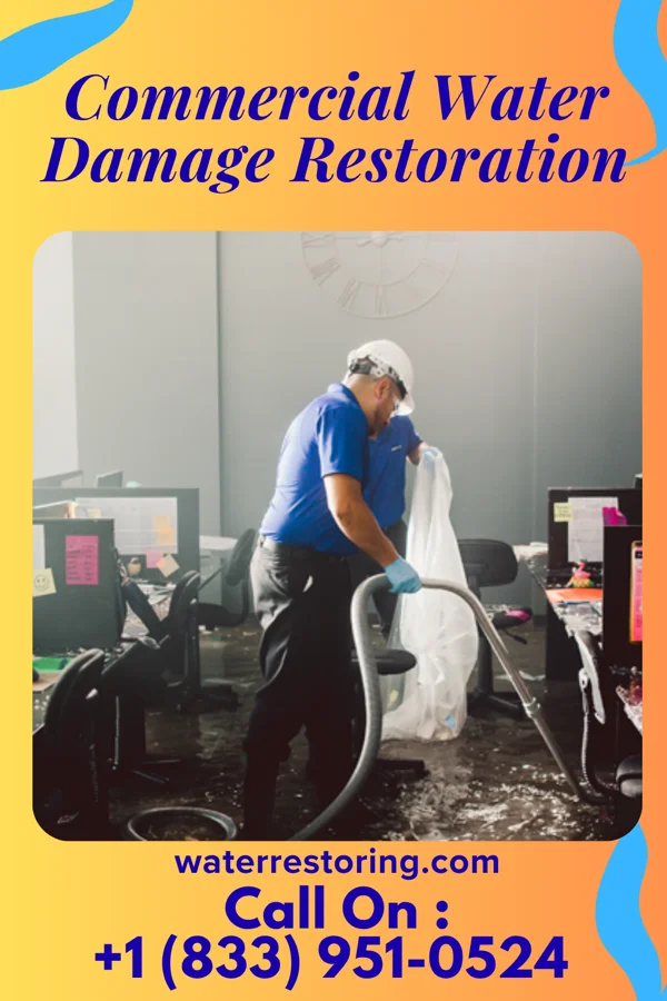 Commercial Water Damage Restoration in Skykomish, WA